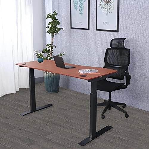 ApexDesk Elite Series 60" Standing Desk