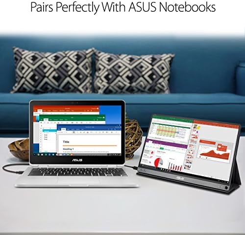 ASUS ZenScreen 15.6" Portable USB Monitor (MB16AC)