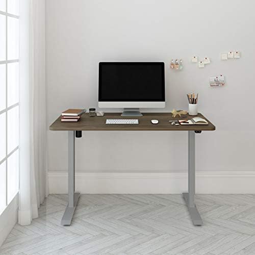 FlexiSpot EC1 48x24 Standing Desk